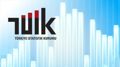 TÜİK açıkladı! İnternet kullanımı yüzde 90’ı aştı, E-Devlet ve E-Ticaret yaygınlaşıyor