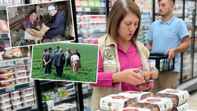 Etimesgut’ta gıda güvenliği ve hayvan sağlığı için sıkı denetim