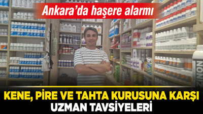 Ankara’da haşere alarmı: Kene, pire ve tahta kurusuna karşı uzman tavsiyeleri