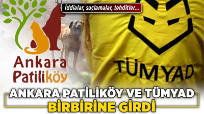 Ankara Patiliköy ve TÜMYAD birbirine girdi! İddialar, suçlamalar, tehditler...