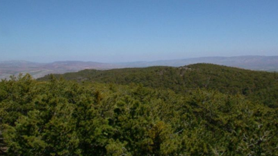 Ankara Balâ'da yer alan Beynam Atatürk Ormanı’nda neler yapılır ve nasıl gidilir?