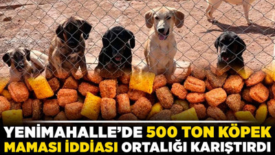 Yenimahalle'de 500 ton köpek maması iddiası ortalığı karıştırdı!