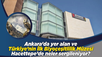 Ankara'da yer alan ve Türkiye’nin İlk Biyoçeşitlilik Müzesi Hacettepe’de neler sergileniyor?