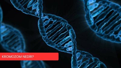 Kromozom nedir? Yapısı, görevleri ve genetik sağlıktaki önemi