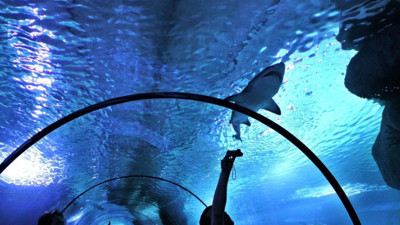 Ankara'da yer alan dev tünel Aqua Vega Akvaryumu nerede, giriş ücreti ne kadar?