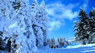 Ilgaz Dağı’nda kış sezonu başlıyor: Kayak, yayla ve doğa keyfi bir arada