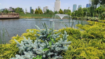 Çankaya'nın yeşil dostu: Çansera