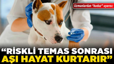 Uzmanlardan "kuduz" uyarısı: "Riskli temas sonrası aşı hayat kurtarır"