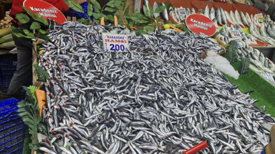 Ankara’da balık mevsimi başladı: Tezgâhlar taze ürünlerle şenlendi