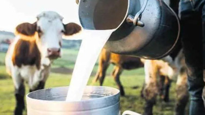 Süt üretiminde düşüş! TÜİK verileri açıklandı