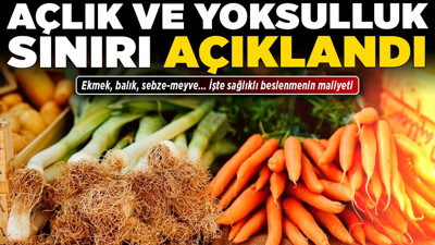 Açlık ve yoksulluk sınırı açıklandı! Ekmek, balık, sebze-meyve... İşte sağlıklı beslenmenin maliyeti!