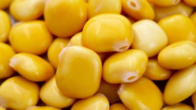 Tirmis karışımı nedir? Faydaları, içeriği ve kullanım alanları