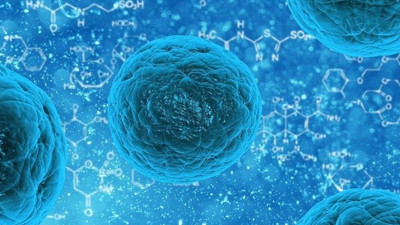 Ankara’da mide bulantısı ve kusma şikayetleri arttı! Yeni bir salgın mı geliyor?