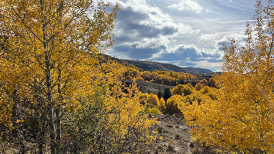 Kızılcahamam sonbaharda renk cümbüşüne büründü!