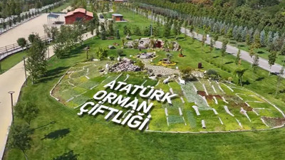Atatürk Orman Çiftliği hangarları kültür ve sanatla buluşuyor! Tüm Ankaralılar davetli
