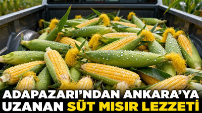Tarladan tezgâha! Adapazarı’ndan Ankara’ya uzanan süt mısır lezzeti