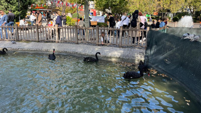 Kuğulu Park’ta pazar yoğunluğu! Ankaralılar Tunalı’da nefes aldı