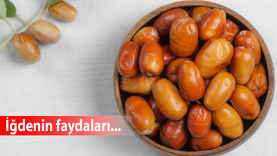Küçük meyve, büyük şifa! İğdenin bilinmeyen faydaları şaşırtıyor!