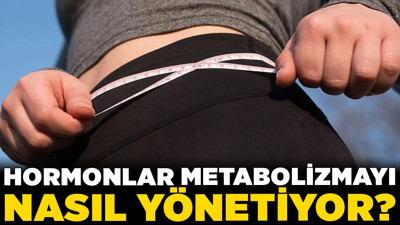 Hormonlar metabolizmayı nasıl yönetiyor? Kadın ve erkek metabolizması farklı çalışıyor!