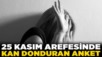 "Kadına şiddet" Türkiye'nin gündeminde değil! 25 Kasım arefesinde kan donduran anket