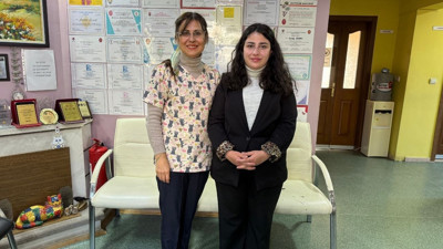 Ankara'daki pitbull dehşeti sonrası uzmanı uyardı: Kontrol edemediğiniz köpek silaha dönüşür!