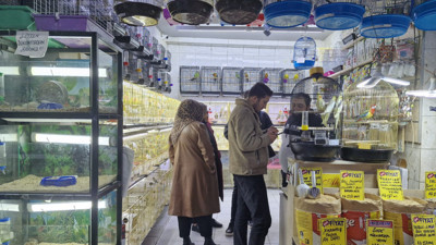 Ankara'nın en "canlı" sokağı! Giren bir daha çıkmak istemiyor