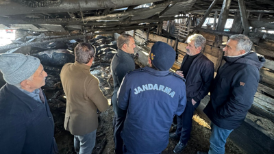 Çamlıdere'de gece yarısı dehşet yaşandı! 30 büyükbaş hayvan alevler arasında can verdi