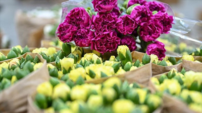 Türk çiçekleri 83 ülkenin gözdesi oldu!