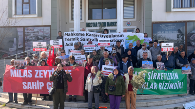 Türkiye'nin ekolojik yıkım dosyası! Rant, tahribat ve doğa savaşı...
