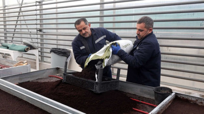 Yenimahalle’de çiçek dönemi değişti: Tohumdan üretime geçildi!