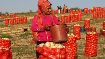 Polatlı’da soğan hasadı başladı: Mevsimlik işçilerin zorlu yolculuğu