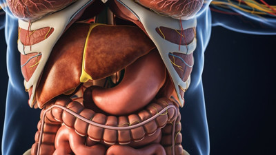 Karaciğer kanseri kader değil! Aşı ve yaşam tarzıyla hastalıktan korunma rehberi