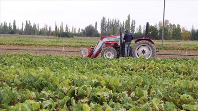 Ayaş tarım maliyetleri arttı: En hızlı yükselen kalem belli oldu!