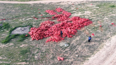 Ankara Polatlı'da tonlarca soğan araziye döküldü: Ticaret Bakanlığı harekete geçti