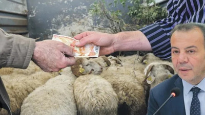 ‘Para topladık, tek kurban kesmedik’ itirafı!