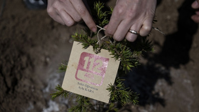 Ankara’da Anlamlı Vefa: Ayla Öğretmen ve Öğrencilerinin İsimleri Hatıra Ormanında Yaşatılacak