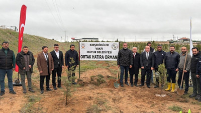 Mucur'da bozkır cennete dönüşüyor: 600 fidan toprakla buluştu