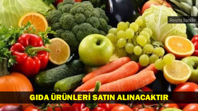 GIDA ÜRÜNLERİ SATIN ALINACAKTIR