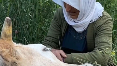 Hakkari’de yürek yakan olaya mutlu son: Ayni teyzeye yardım eli