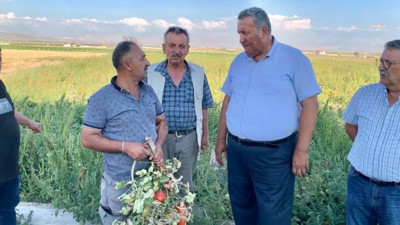 CHP’li Gürer'den haciz tepkisi: "Çiftçinin dalındaki yeşil domatesi icralık oldu"