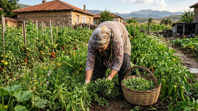 Semizotunu toplamadan önce saate bakın! Aradaki fark şaşırtıyor