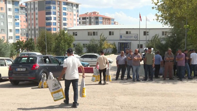 Başkentte 24 bin dekar arazi yüzde 50 hibeli kanola tohumuyla buluştu