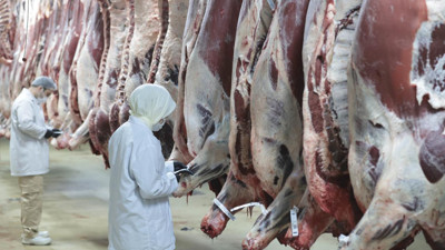 Ankara'da gıda skandalı: 104 ton sağlıksız et ele geçirildi