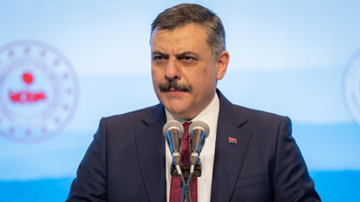 Sokak hayvanlarıyla ilgili süreç tamamlandı mı? Bakan Çiftçi tarih verdi