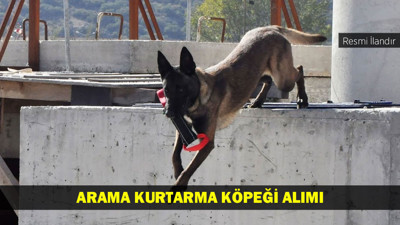 ARAMA KURTARMA KÖPEĞİ ALIMI