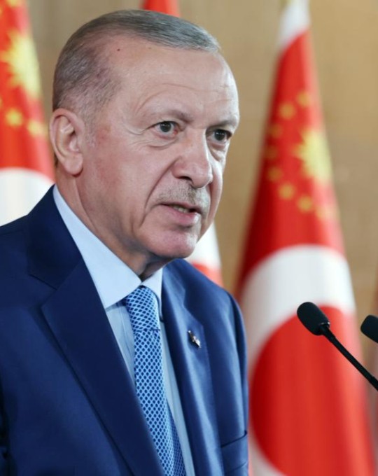Cumhurbaşkanı Erdoğan'dan orman şehitlerine taziye mesajı