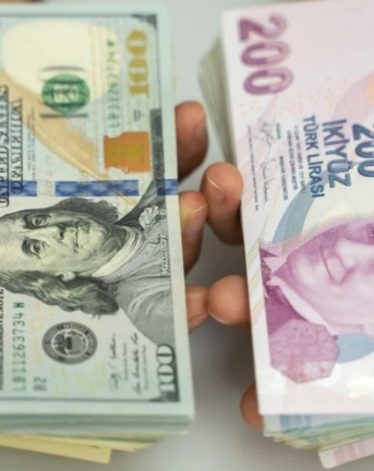 TL'nin reel değeri temmuzda geriledi: REK endeksinde düşüş sürüyor