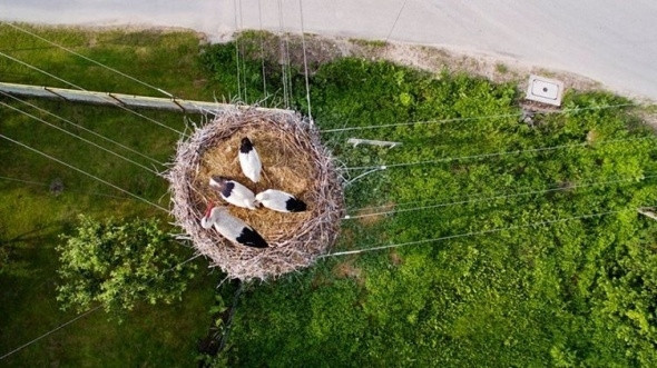 En iyi drone fotoğrafları - Resim: 13