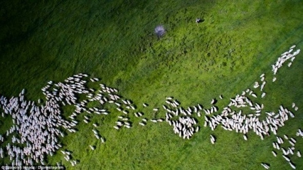 En iyi drone fotoğrafları - Resim: 6