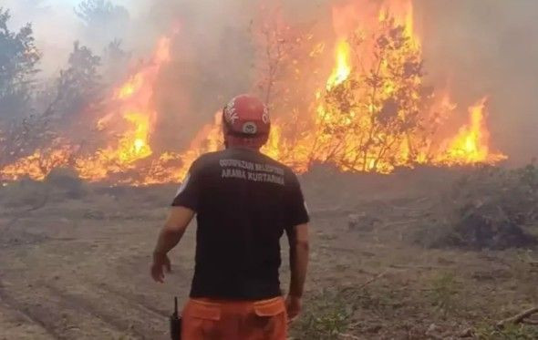Şehit düşen orman işçisinin "Maaş" mesajı - Resim: 1